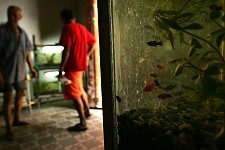 Pet-shop visitors in Santiago de Cuba, Cuba on Friday, March 2, 2007.