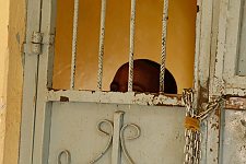A patient of the special ward for most dangerous patients. Hargeisa, SomaliLand, Monday, October 8, 2007. The only mental hospital in the country has a male and a female wards with about a hundred patients altogether.
